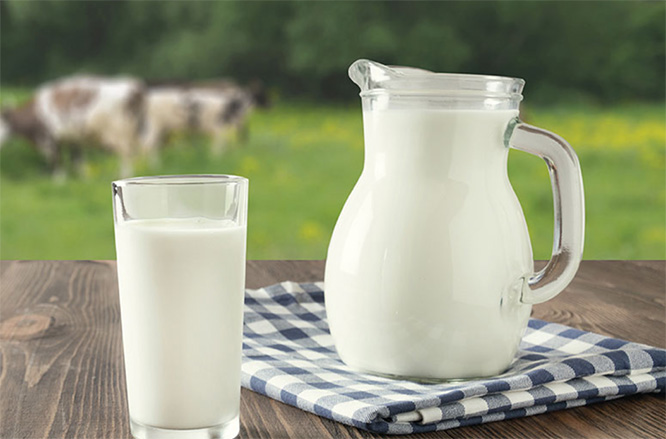 塞浦路斯鮮牛奶