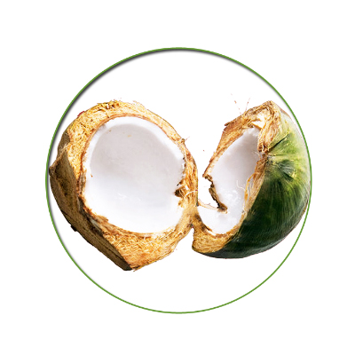菲律賓椰肉(大包裝，椰肉...